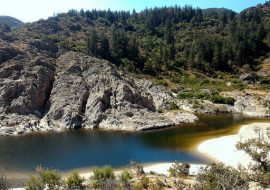 L’Unesco assegna la qualifica “Riserva di Biosfera”, al   Parco di Tepilora a ai territori del Rio Posada e del Montalbo