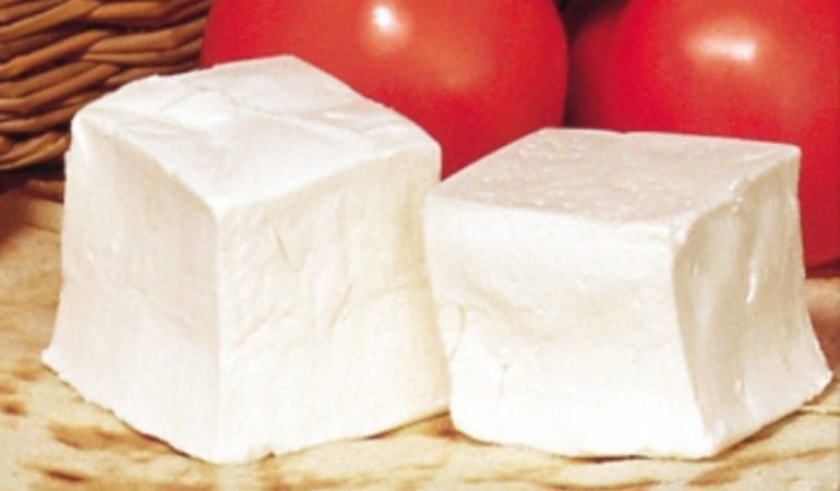 Alimentazione: Casu Axedu,  un quasi formaggio dalle proprietà benefiche simili allo yogurt