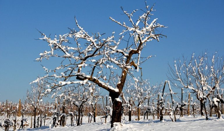 Allarme meteo nell’isola per nevicate e gelate fino alle prime ore di  domani  