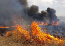 Sulcis: esteso Incendio  da Villamassargia  a Musei e Domunovas. In corso la bonifica  