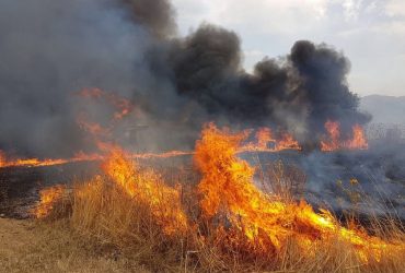 Sulcis: esteso Incendio  da Villamassargia  a Musei e Domunovas. In corso la bonifica  