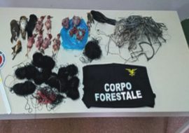 Forestale: due denunce per uccellagione nei Sette Fratelli e Capoterra