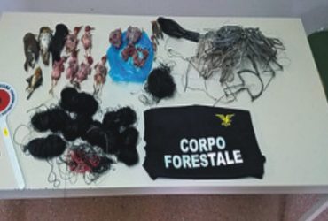 Forestale: due denunce per uccellagione nei Sette Fratelli e Capoterra