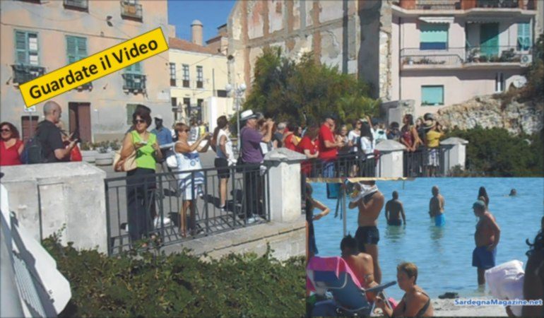 Cagliari:  a settembre ancora tanti turisti in città e  Poetto affollato – VIDEO