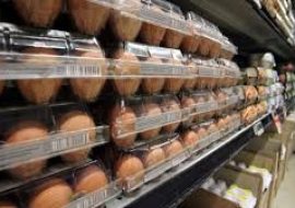 Sardegna: tre campioni di uova su dieci contaminati da Fipronil