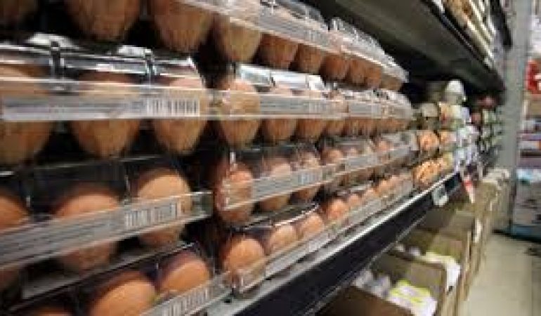 Sardegna: tre campioni di uova su dieci contaminati da Fipronil