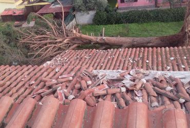 Dopo il temporale dei giorni scorsi si contano i danni Dopo il temporale dei giorni scorsi si contano i danni