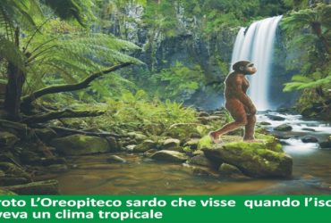 “Parliamo di Sardegna”. Proto, la scimmia antropomorfa sarda che visse in un clima  tropicale