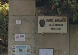 Cagliari: riapre domani l’Orto  Botanico