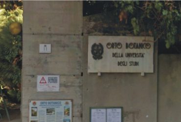 Cagliari: riapre domani l’Orto  Botanico