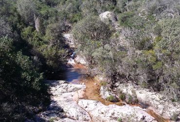 Un parco dietro casa: Oasi del WWF di Monte Arcosu