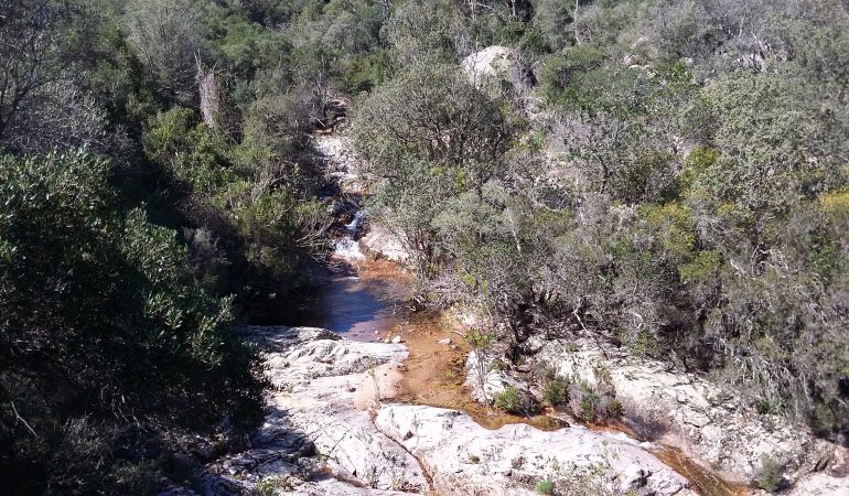 Un parco dietro casa: Oasi del WWF di Monte Arcosu