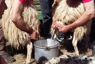 Festa della Montagna a San Leone