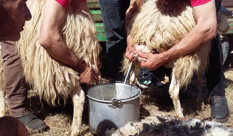 Festa della Montagna a San Leone