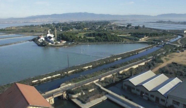 Cagliari: le sue   zone umide attrattiva straordinaria per turisti di tutto il mondo