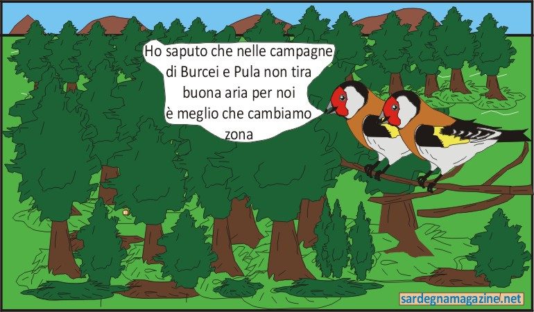 “La Vignetta”: uccellini indifesi  costretti a cambiare zona per non essere cacciati