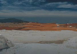 Regione: “Positivo il recupero ambientale delle saline  Conti Vecchi”