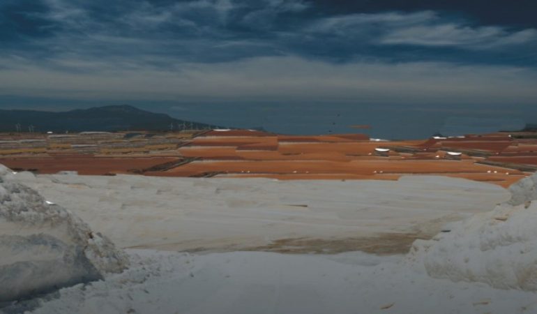 Regione: “Positivo il recupero ambientale delle saline  Conti Vecchi”