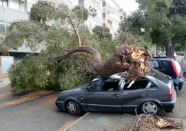 Cagliari: albero su un’auto per il forte vento