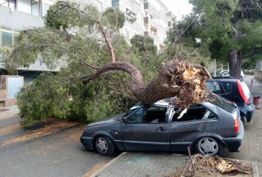 Cagliari: albero su un’auto per il forte vento
