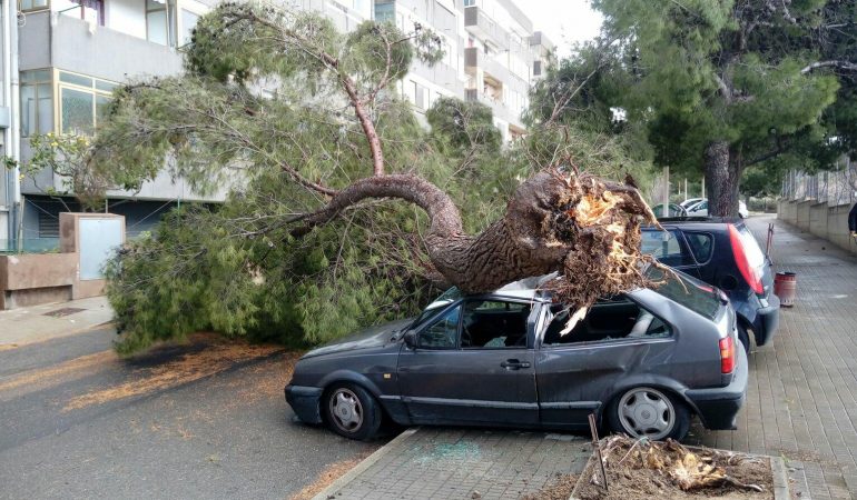 Cagliari: albero su un’auto per il forte vento