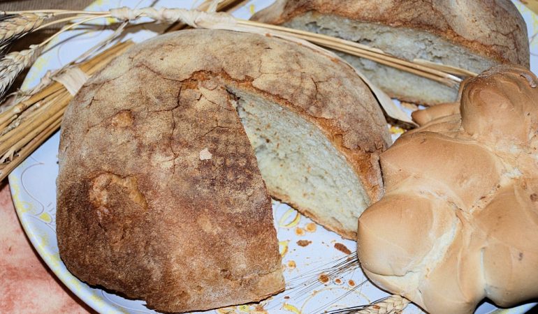 Allarme Confartigianato:  “Pane sardo sotto attacco degli abusivi”