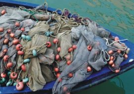 In arrivo i primi  indennizzi ai pescatori di Capo Frasca