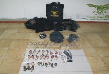 Villaputzu: due bracconieri colti in flagranza e denunciati Villaputzu: due bracconieri colti in flagranza e denunciati