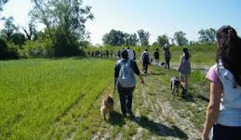Assemini: il  Consiglio Comunale dei Ragazzi sponsorizza  la passeggiata Cinofila