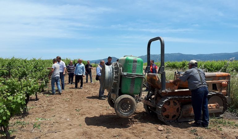 Prove tra i filari de Parteolla di  un’agricoltura con meno agrofarmaci