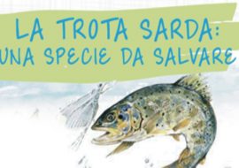 Regione: carta ittica dei pesci dei fiumi sardi