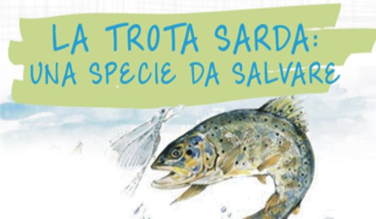 Regione: carta ittica dei pesci dei fiumi sardi