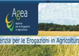 In arrivo per agricoltori e pastori sardi circa 23 milioni per indennità compensativa 2016