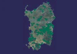 Sardegna: nell’isola 400 alberi di valore monumentale