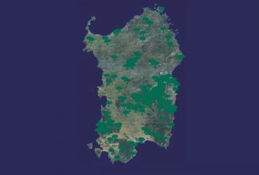 Sardegna: nell’isola 400 alberi di valore monumentale