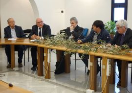 Ramoscelli d’olivo sardi in piazza San Pietro a Roma