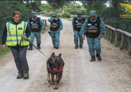 Laerru: un 60enne rinviato a giudizio per avvelenamento di animali altrui