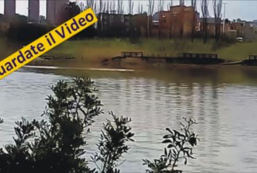 1° agosto 2016: incendio al parco di Terramaini:  distrutto il ponte di legno -VIDEO