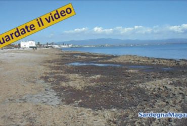 Cagliari,  Poetto: spiaggia invasa  da alghe – Video