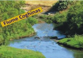 Quattro Comuni puntano sul fiume  Coghinas  per lo sviuluppo della loro economia