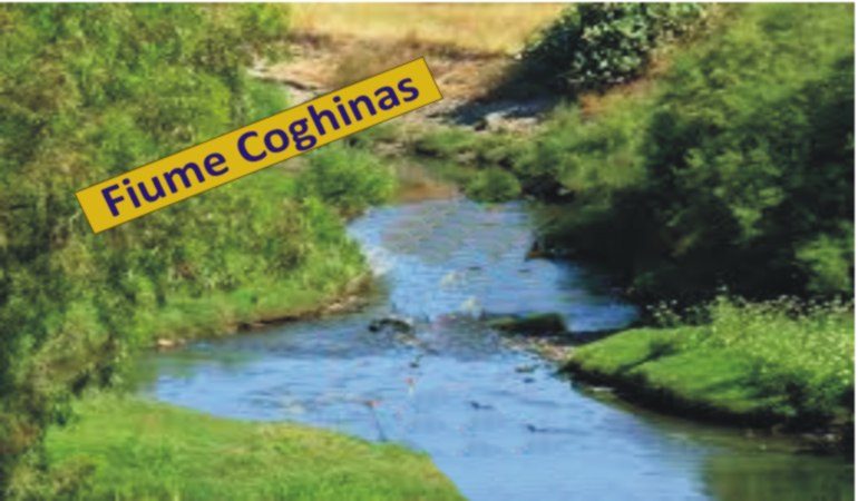 Quattro Comuni puntano sul fiume  Coghinas  per lo sviuluppo della loro economia