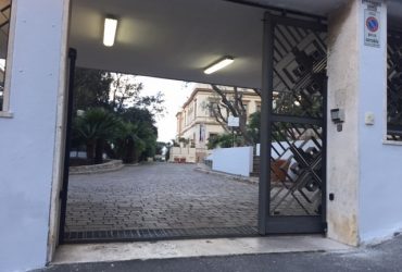 Regione: riconosciuto il circolo “Isola Sardegna-Giappone”