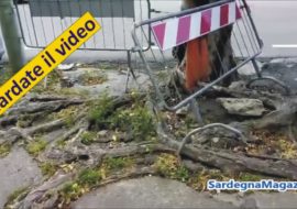 Cagliari: viale Trieste, una strada distrutta dalle radici e  abbandonata a se stessa – VIDEO