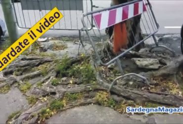 Cagliari: viale Trieste, una strada distrutta dalle radici e  abbandonata a se stessa – VIDEO