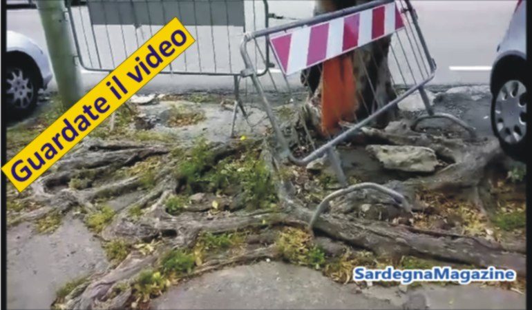 Cagliari: viale Trieste, una strada distrutta dalle radici e  abbandonata a se stessa – VIDEO
