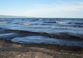 Cagliari, Poetto: solo il mare può portare via le alghe?