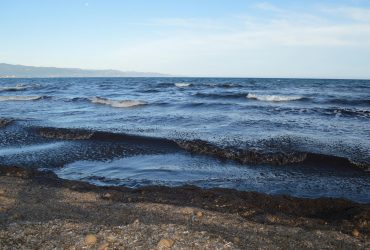 Cagliari, Poetto: solo il mare può portare via le alghe?