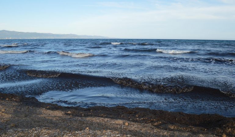 Cagliari, Poetto: solo il mare può portare via le alghe?