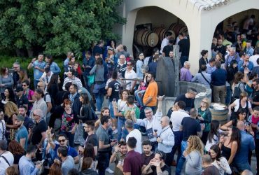 Cantine aperte con vino e cibo  in Sardegna il 27 e 28 maggio