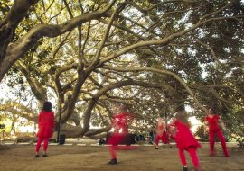 Cagliari: il 25 maggio  parte “Polline” festival di musica elettronica, elettroacustica